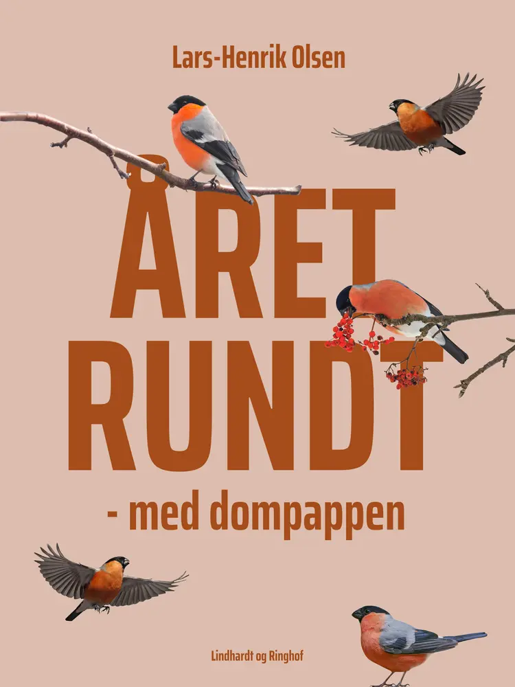 Året rundt - med dompappen af Lars-Henrik Olsen