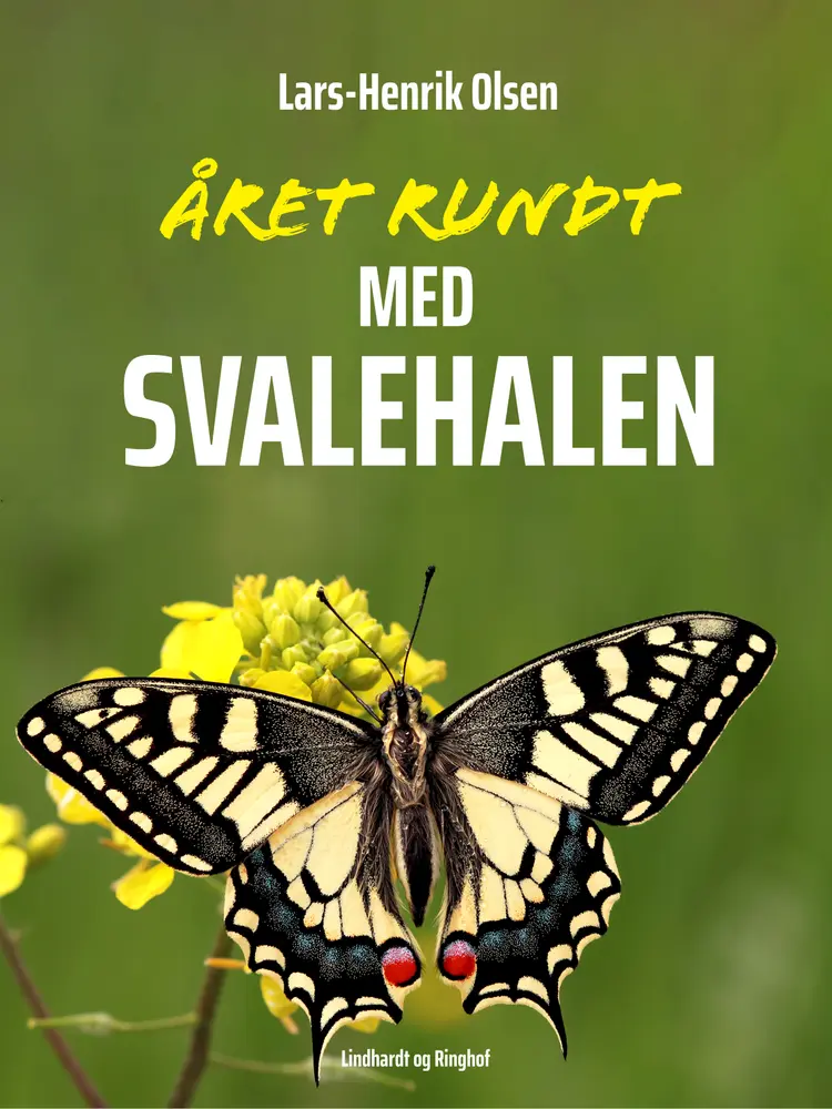 Året rundt - med svalehalen af Lars-Henrik Olsen