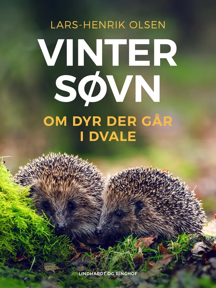 Vintersøvn – om dyr der går i dvale af Lars-Henrik Olsen