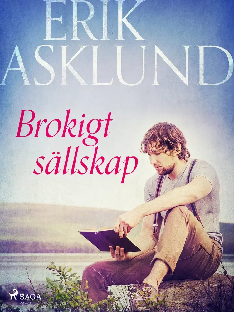 Brokigt sällskap af Erik Asklund