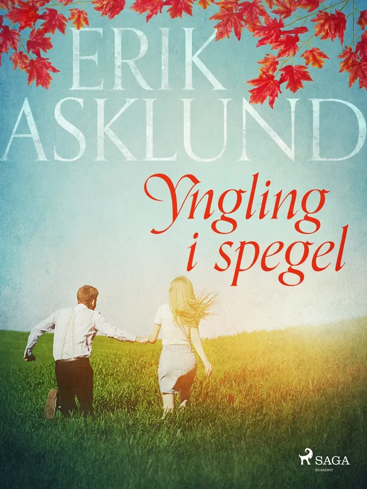 Yngling i spegel af Erik Asklund