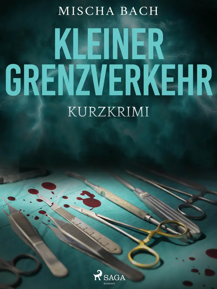 Kleiner Grenzverkehr - Kurzkrimi af Mischa Bach
