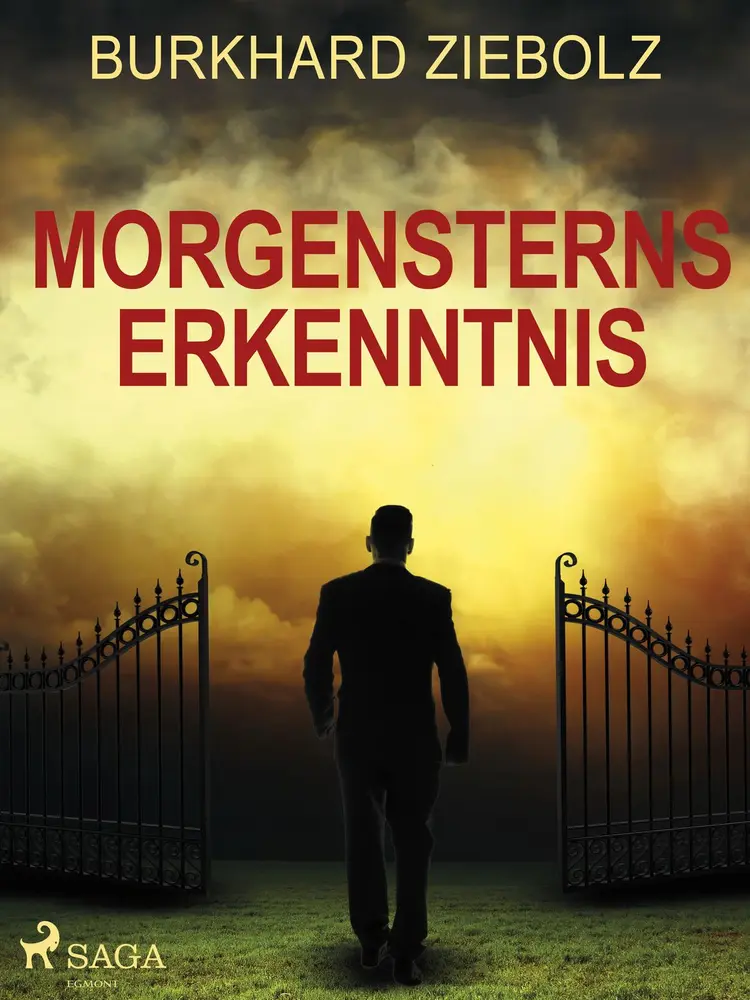 Morgensterns Erkenntnis - Kriminalroman aus Niedersachsen af Burkhard Ziebolz