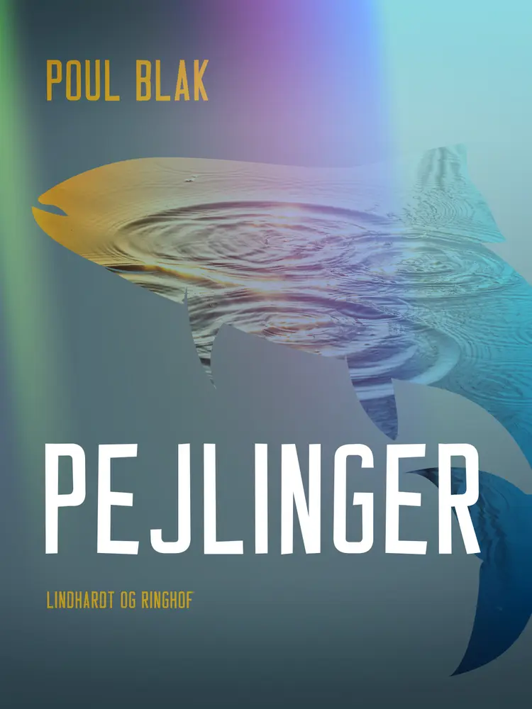 Pejlinger af Poul Blak