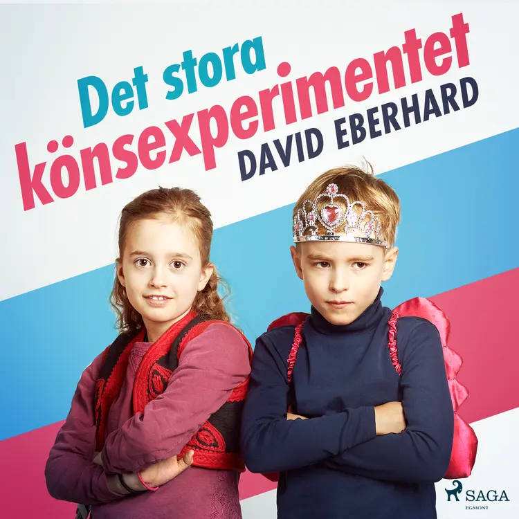 Det stora könsexperimentet af David Eberhard