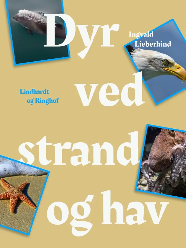 Dyr ved strand og i hav af Ingvald Lieberkind
