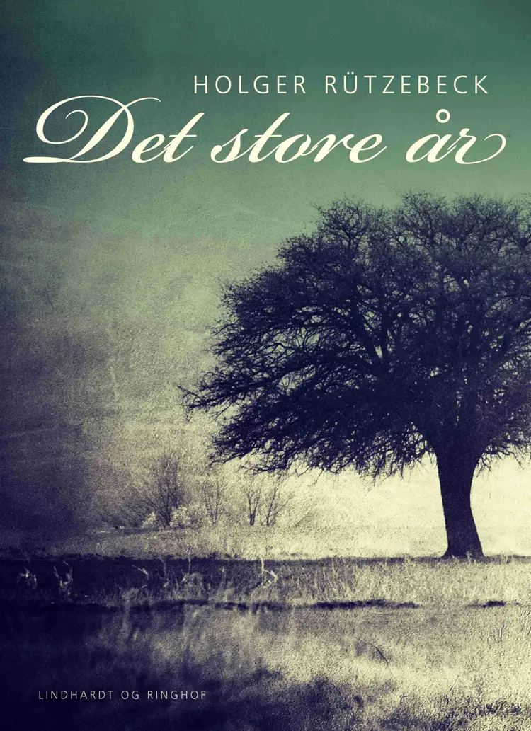 Det store år af Holger Rützebeck