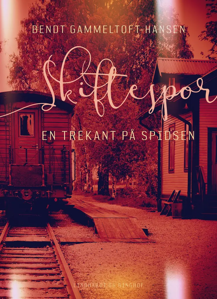 Skiftespor. En trekant på spidsen af Bendt Gammeltoft-Hansen