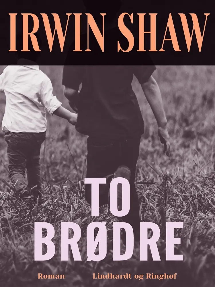 To brødre af Irwin Shaw