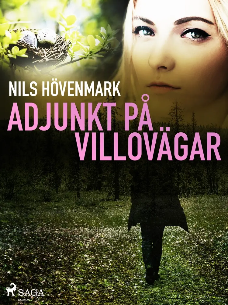 Adjunkt på villovägar af Nils Hövenmark
