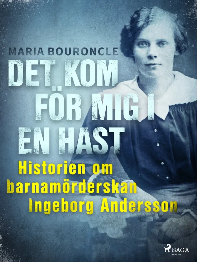 Det kom för mig i en hast af Maria Bouroncle