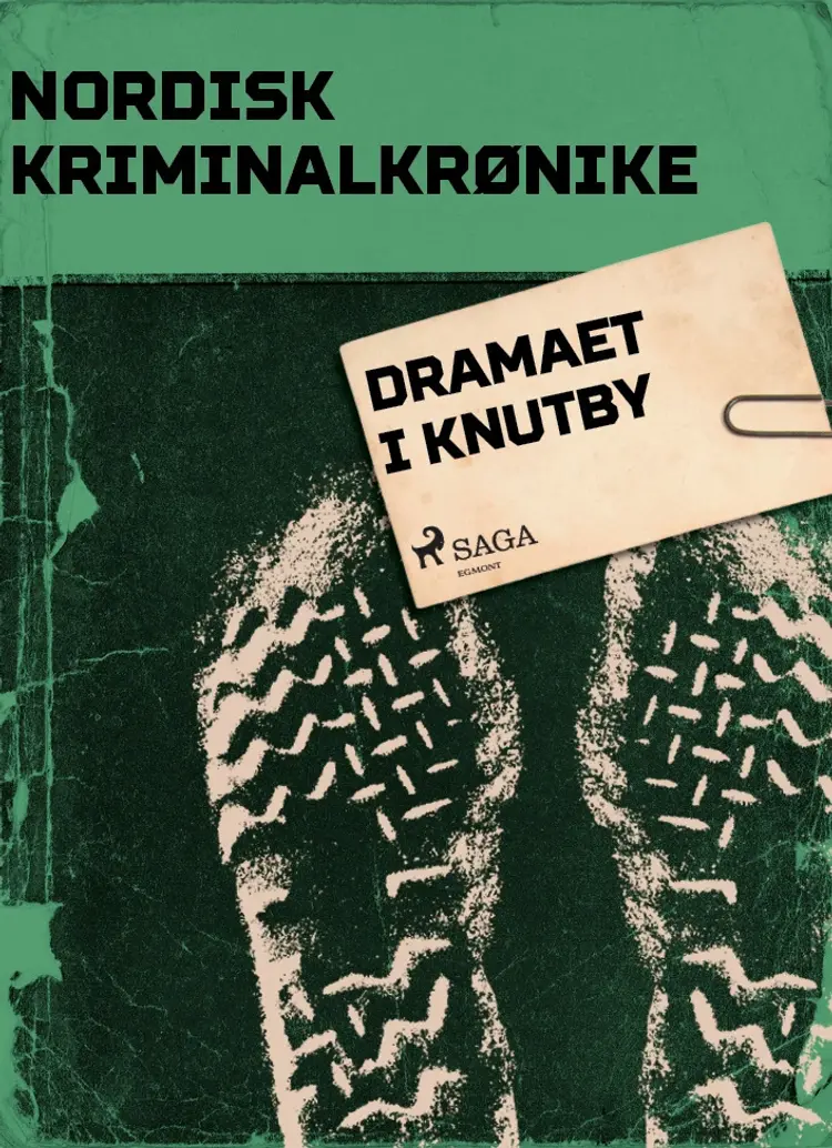 Dramaet i Knutby af - Diverse