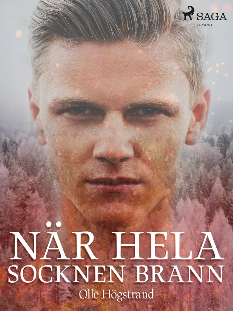 När hela socknen brann af Olle Högstrand