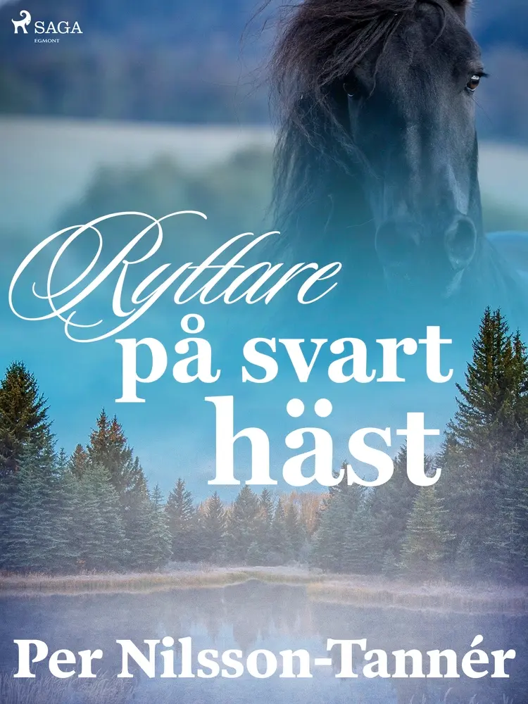 Ryttare på svart häst af Per Nilsson Tannér