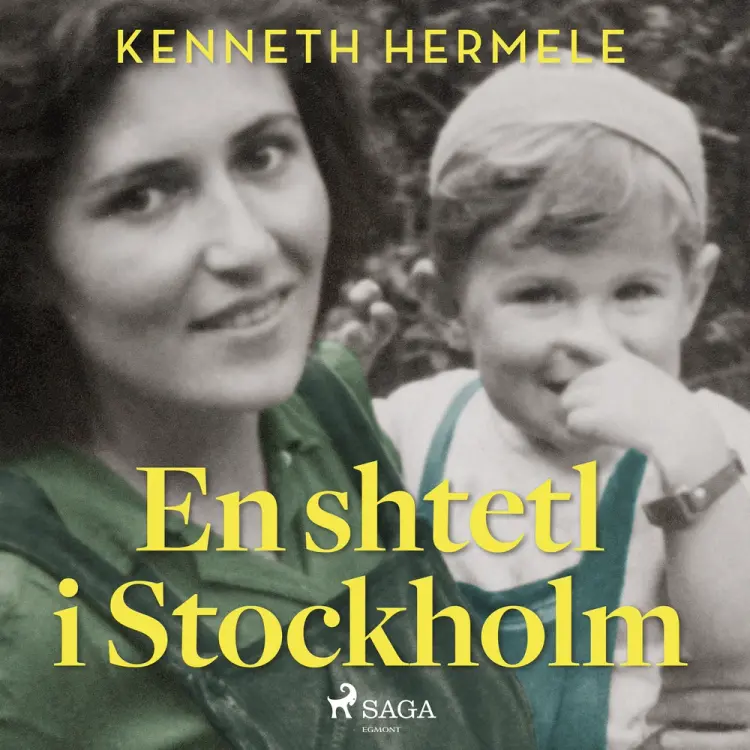 En shtetl i Stockholm af Kenneth Hermele