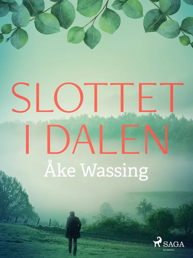 Slottet i dalen af Åke Wassing