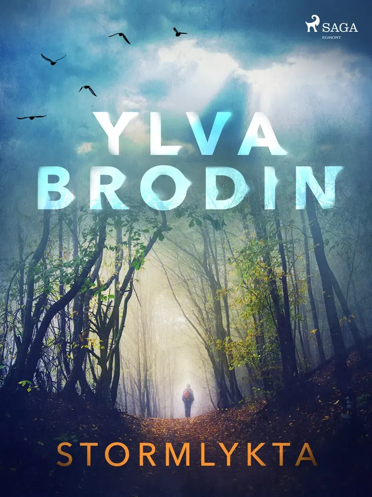 Stormlykta af Ylva Brodin