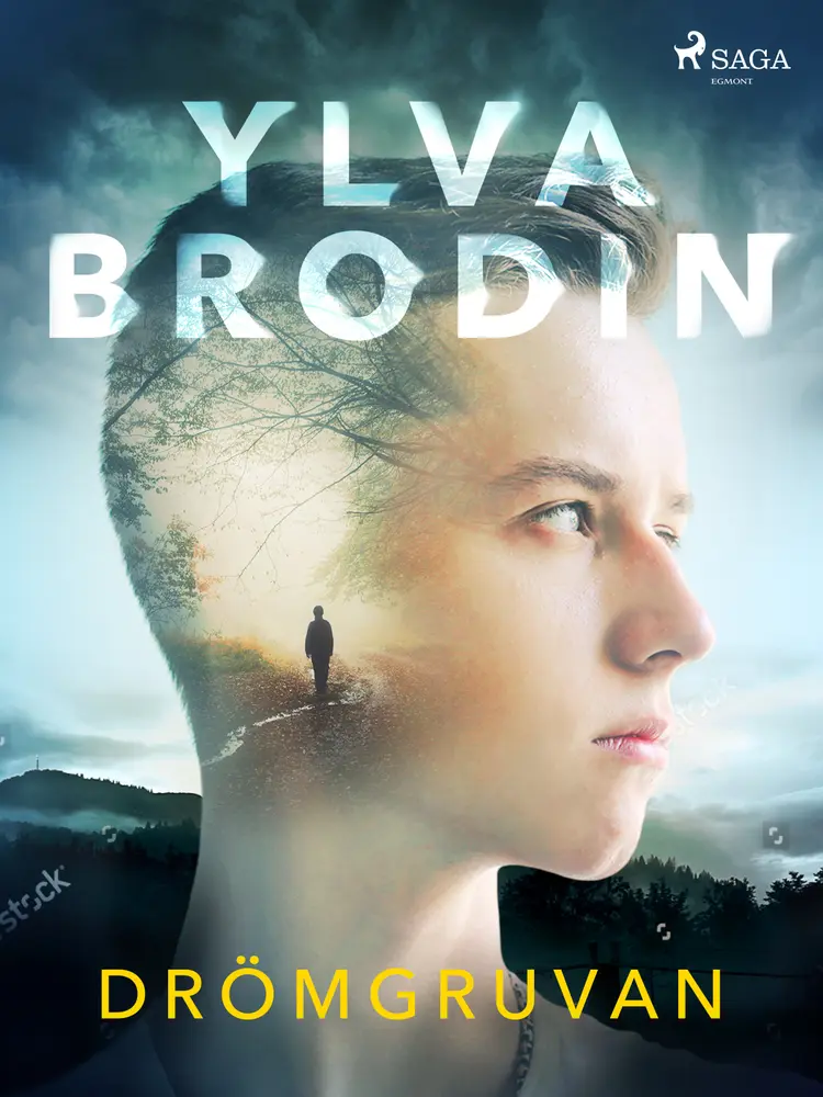 Drömgruvan af Ylva Brodin