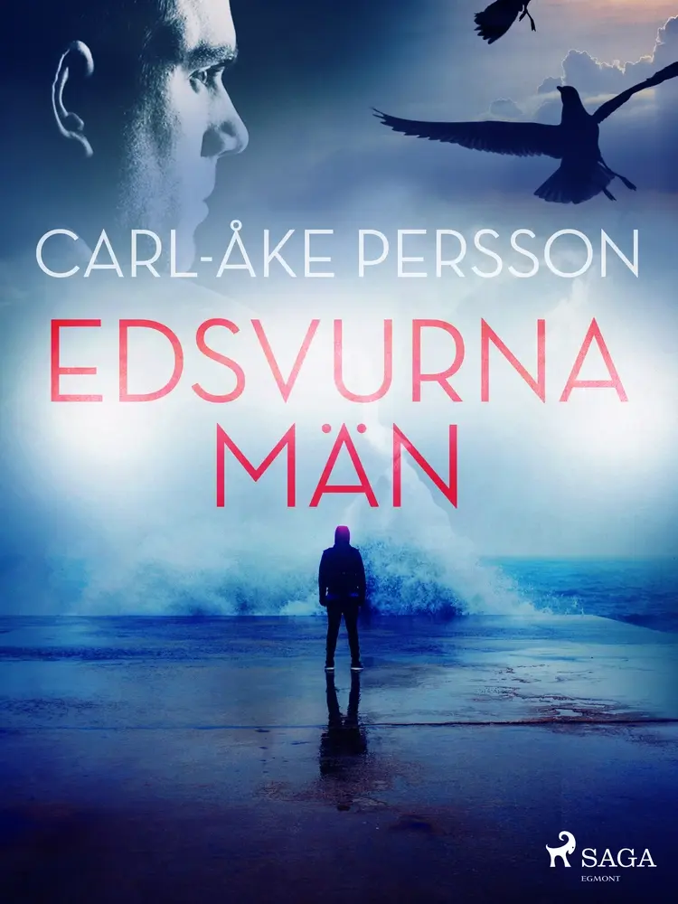 Edsvurna män af Carl-Åke Persson