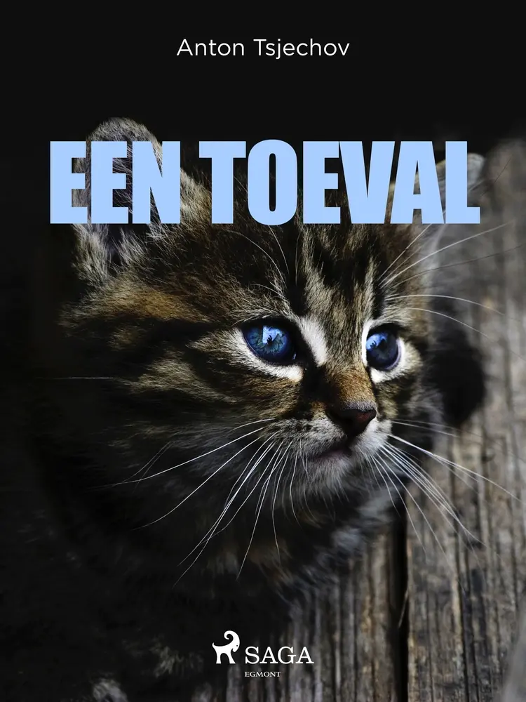 Een toeval af Anton Tsjechov