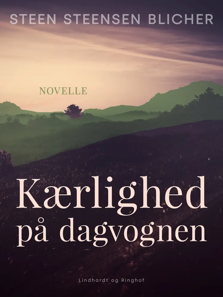 Kærlighed på dagvognen af Steen Steensen Blicher