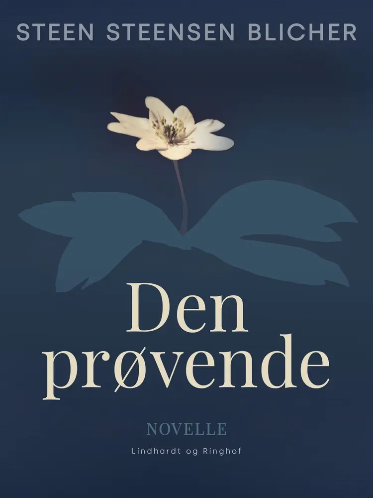 Den prøvende af Steen Steensen Blicher
