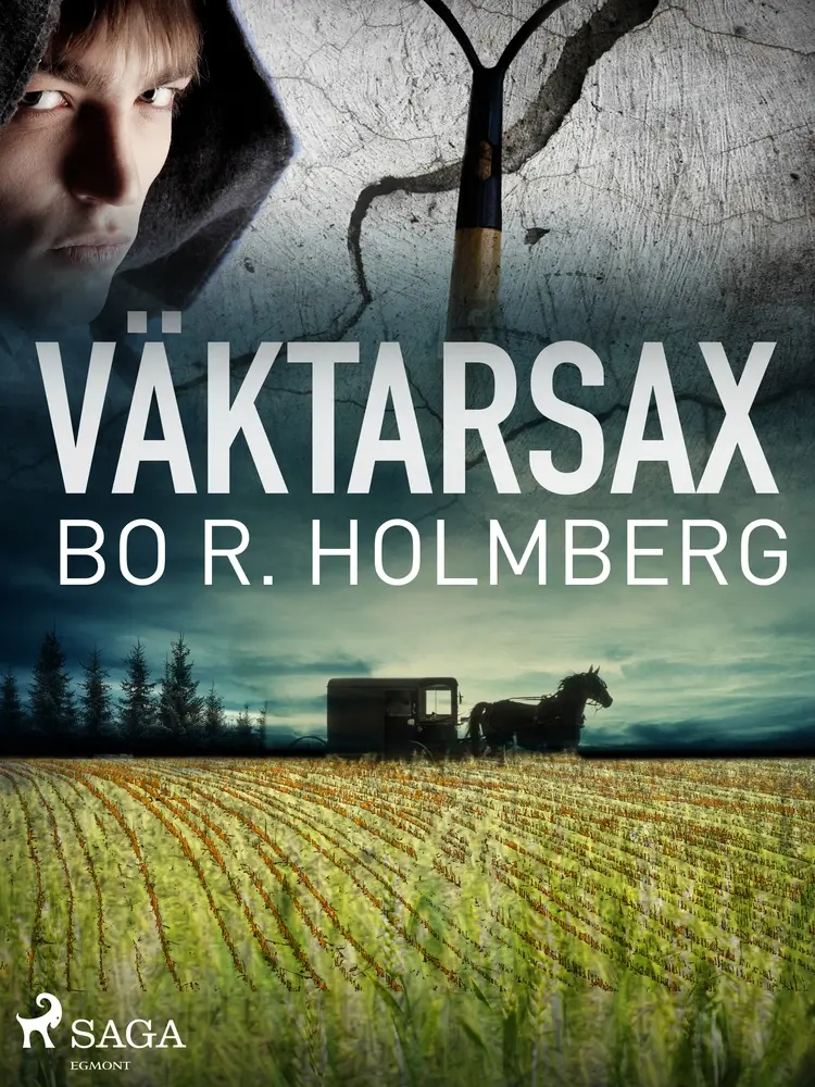 Väktarsax af Bo R. Holmberg