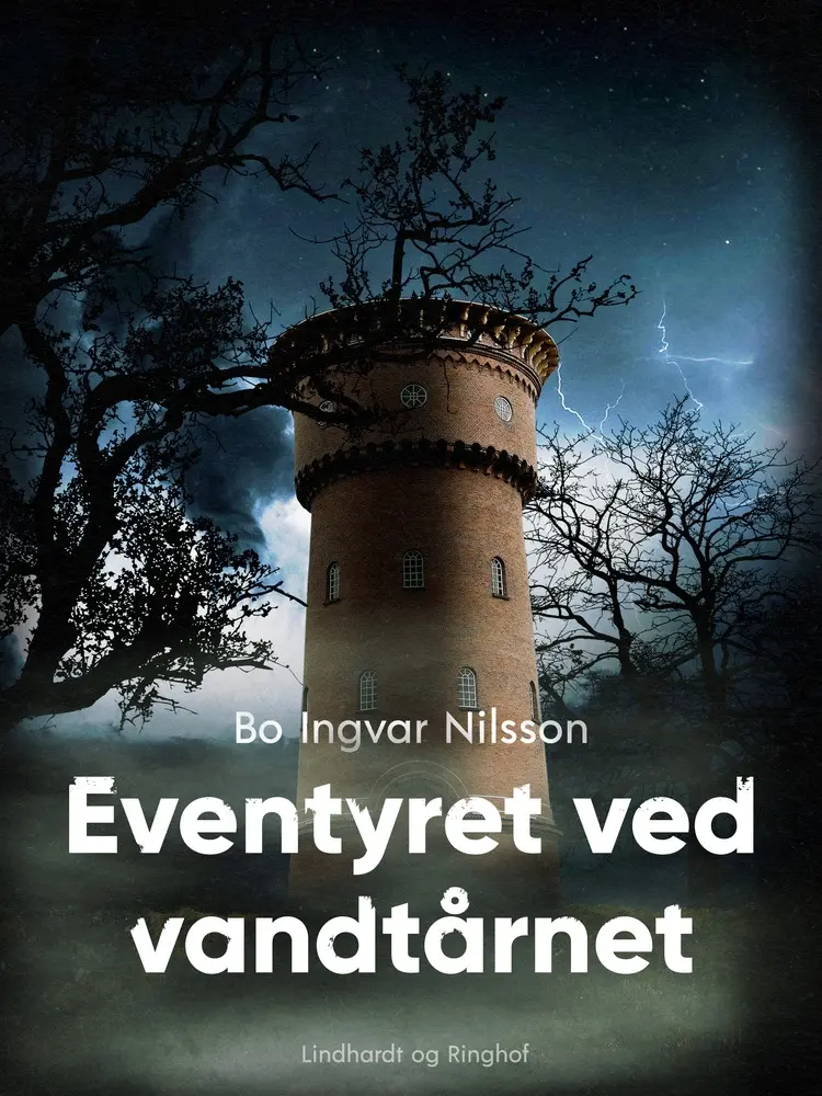 Eventyret ved vandtårnet af Bo Ingvar Nilsson