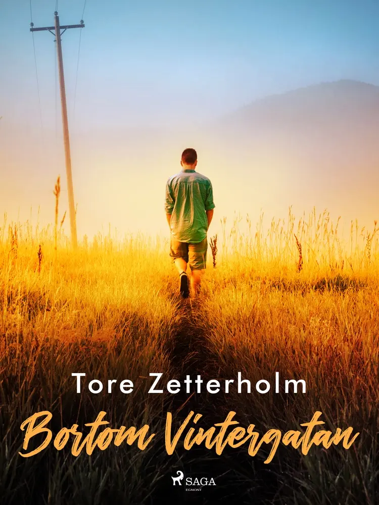 Bortom Vintergatan af Tore Zetterholm