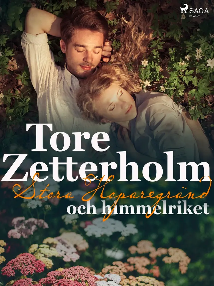 Stora Hoparegränd och himmelriket af Tore Zetterholm
