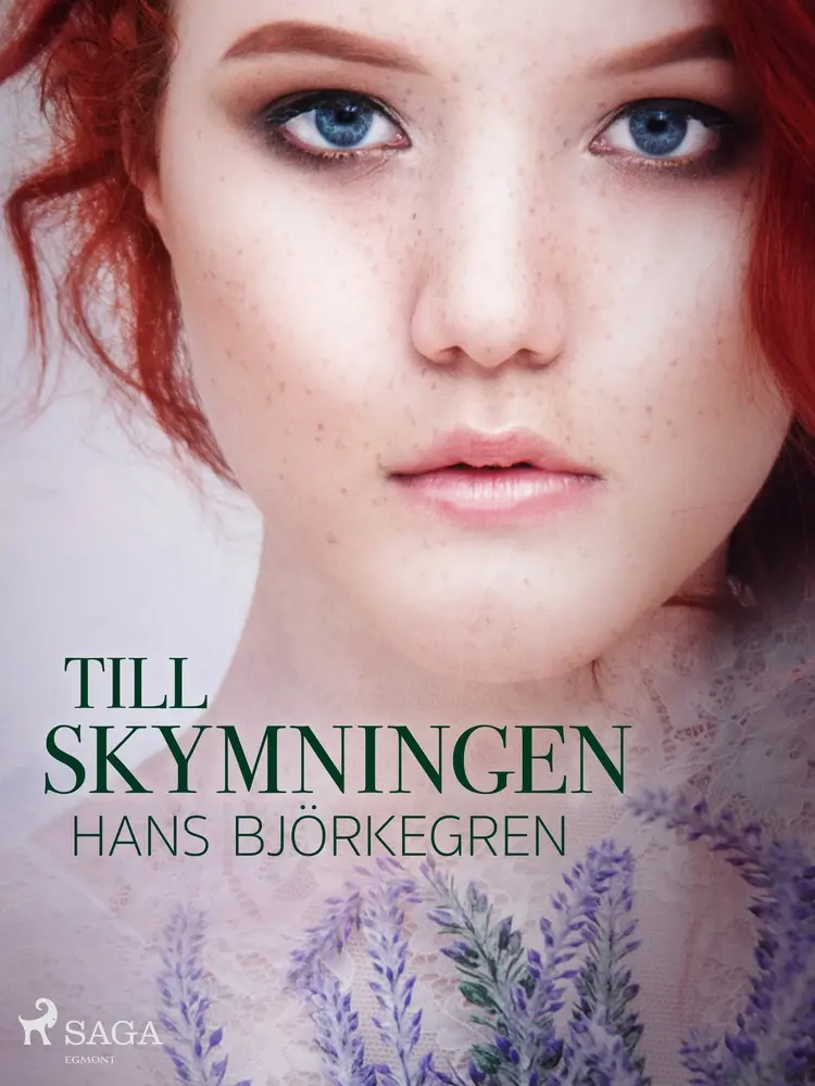 Till skymningen af Hans Björkegren