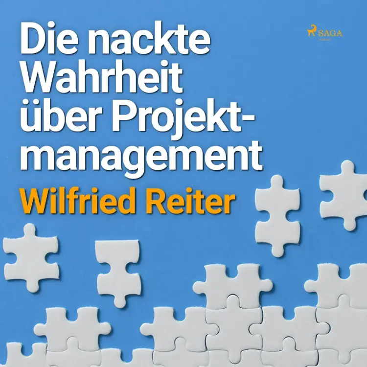 Die nackte Wahrheit über Projektmanagement af Wilfried Reiter