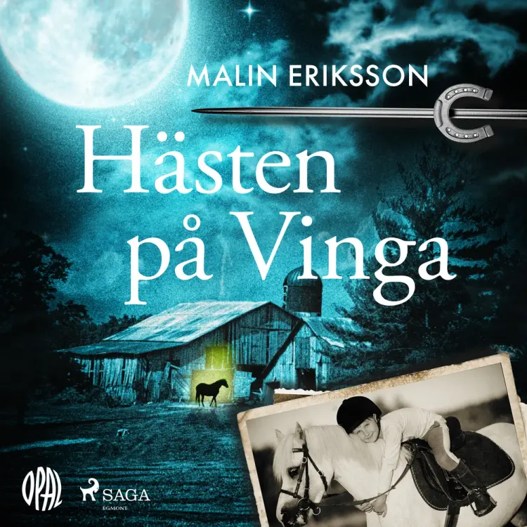 Hästen på Vinga af Malin Eriksson