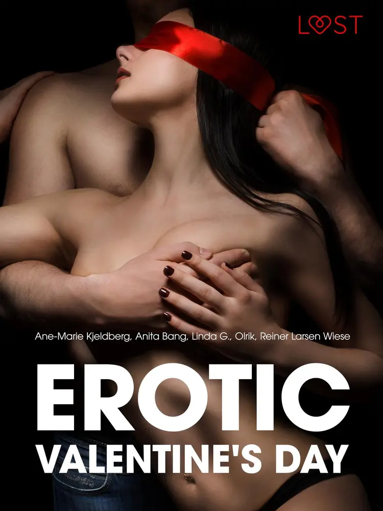Erotic Valentine's Day - 6 erotiske historier af Ane-Marie Kjeldberg