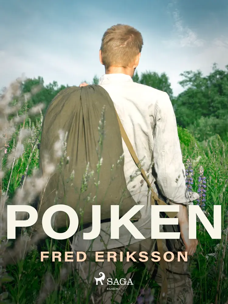 Pojken af Fred Eriksson