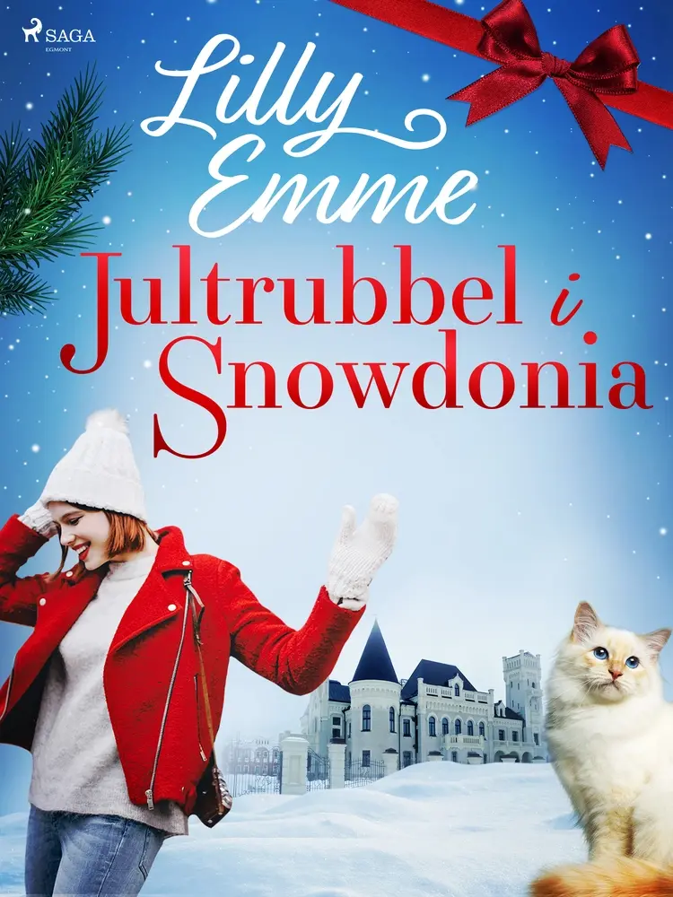 Jultrubbel i Snowdonia af Lilly Emme