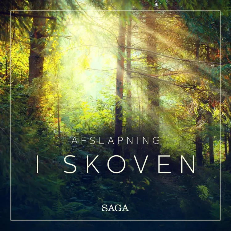 Afslapning - I skoven af Rasmus Broe