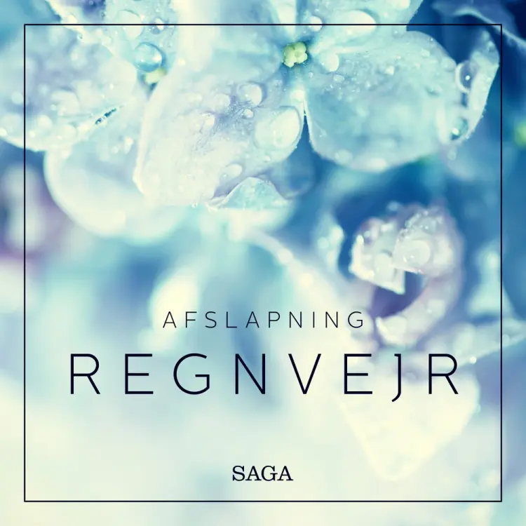 Afslapning - Regnvejr af Rasmus Broe