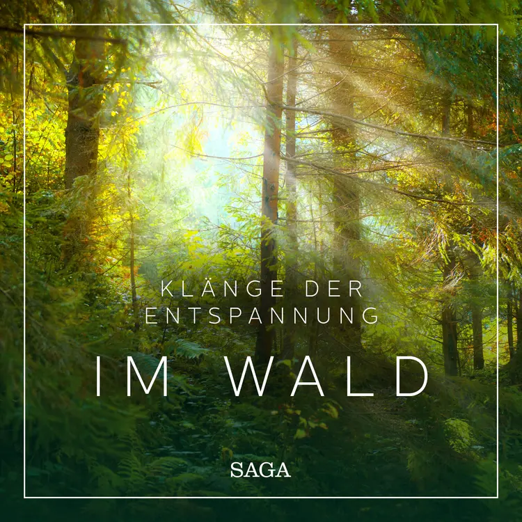 Klänge der Entspannung - Im Wald af Rasmus Broe