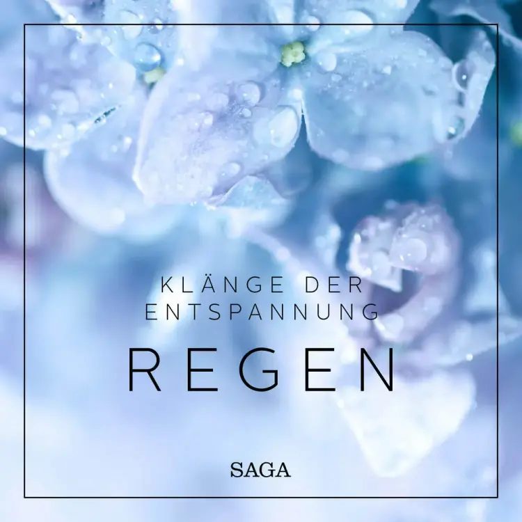 Klänge der Entspannung - Regen af Rasmus Broe