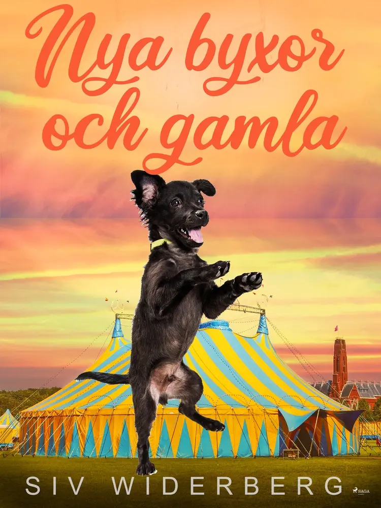 Nya byxor och gamla af Siv Widerberg