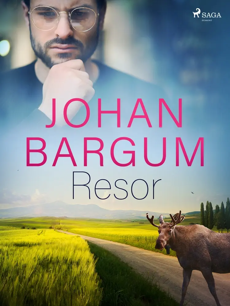 Resor af Johan Bargum