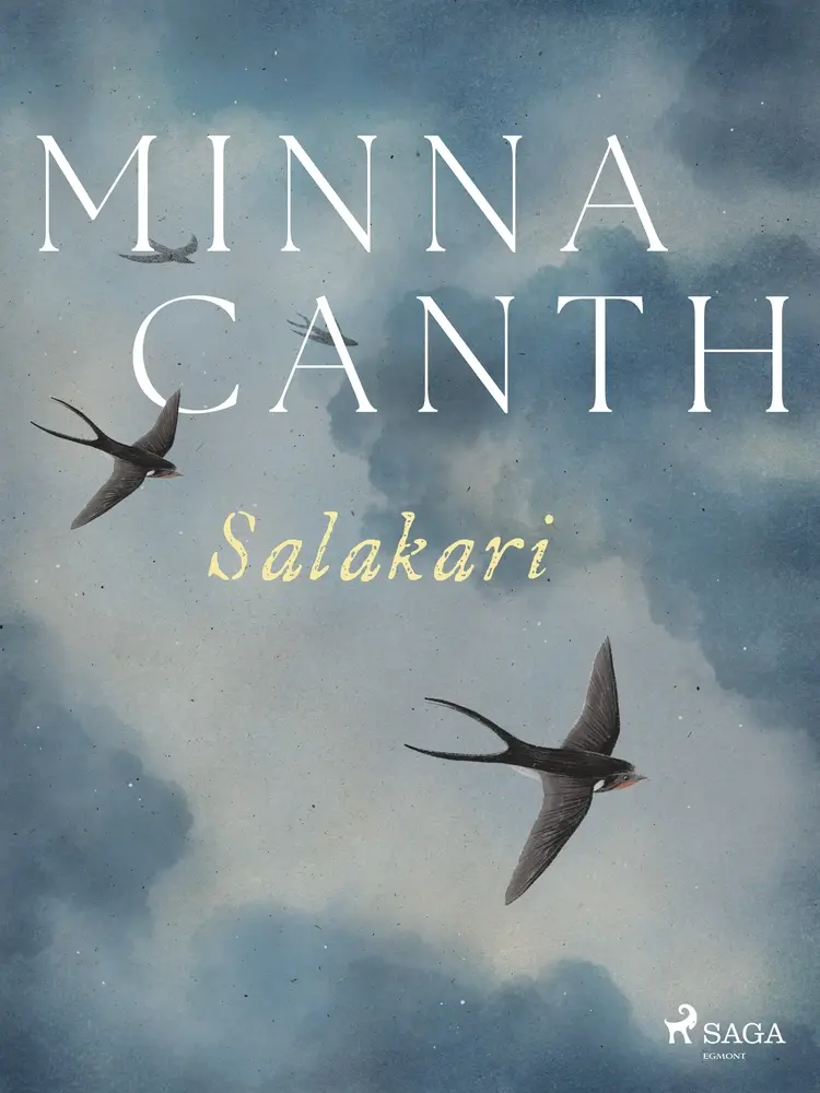 Salakari af Minna Canth