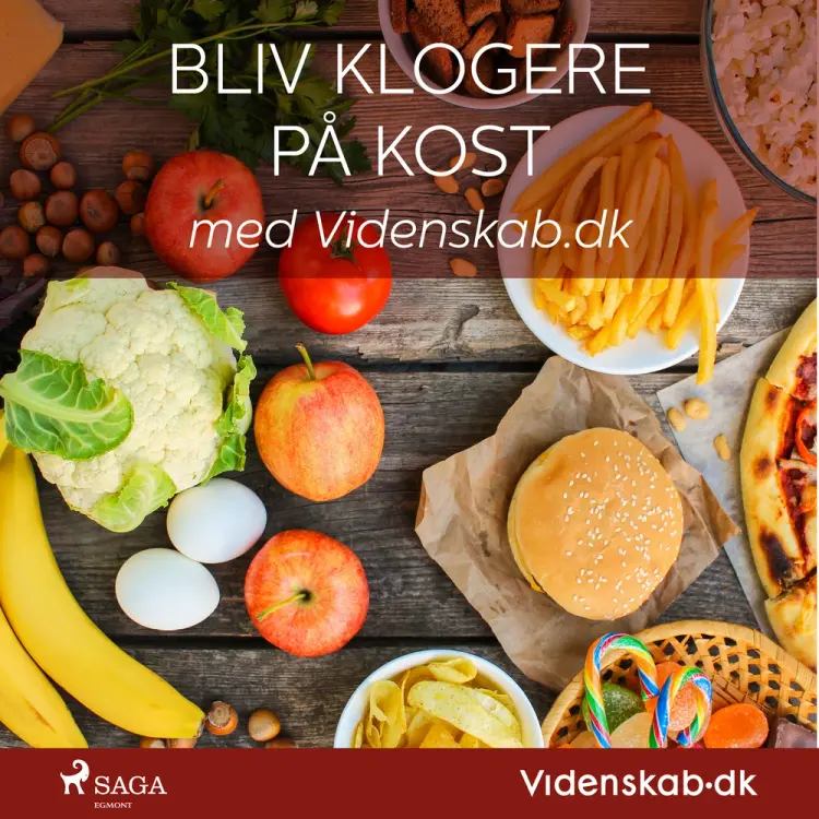 Bliv klogere på kost med Videnskab.dk af Videnskab.dk