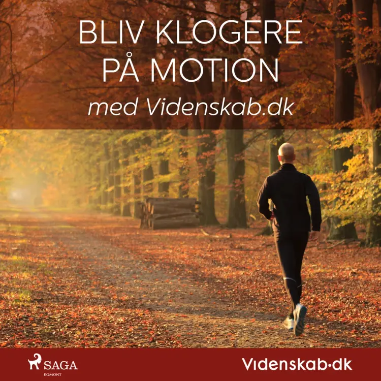 Bliv klogere på motion med Videnskab.dk af Videnskab.dk