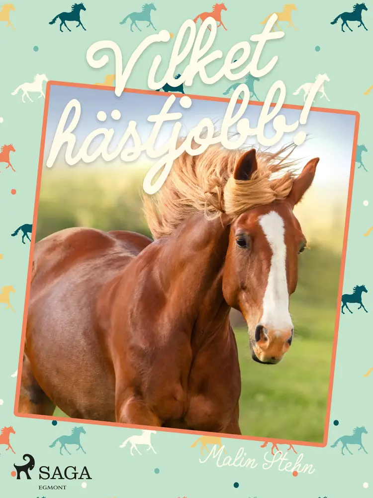 Vilket hästjobb! af Malin Stehn