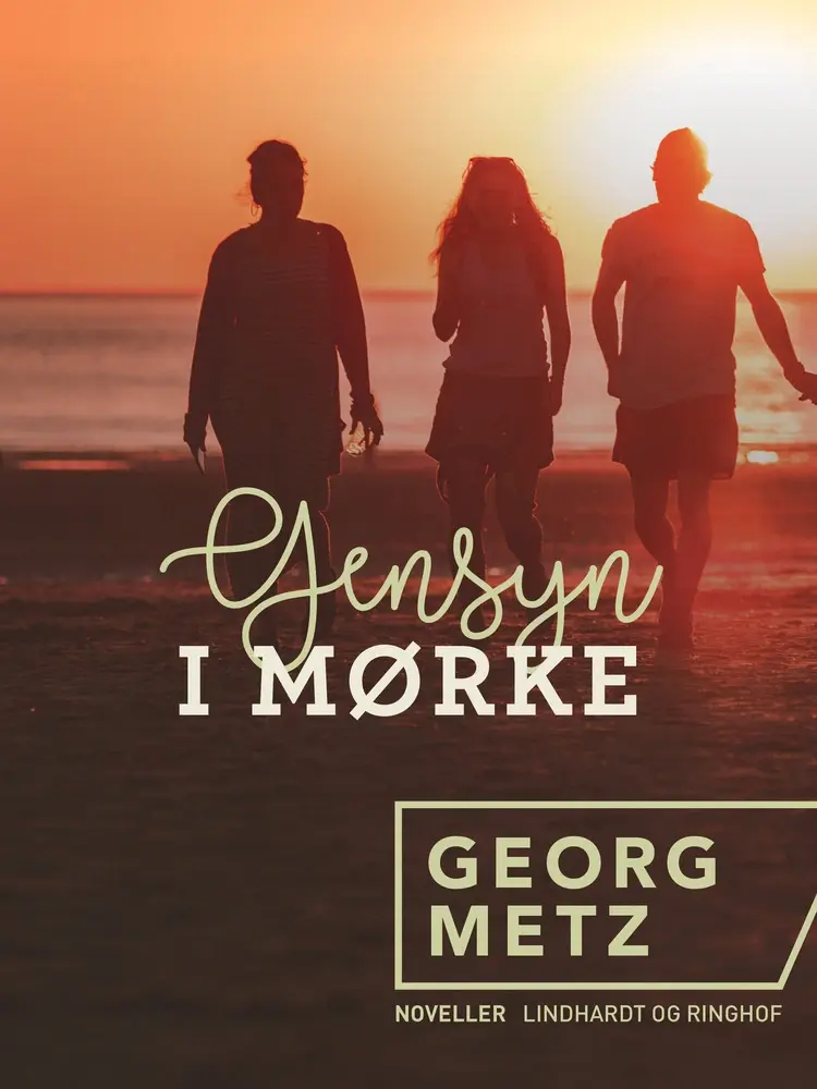 Gensyn i mørke af Georg Metz