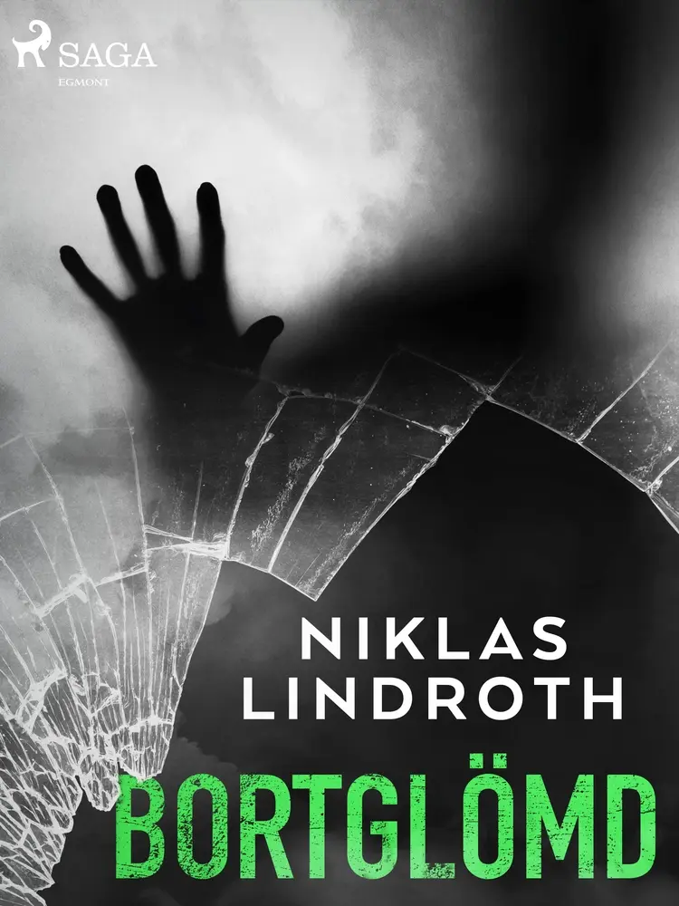 Bortglömd af Niklas Lindroth
