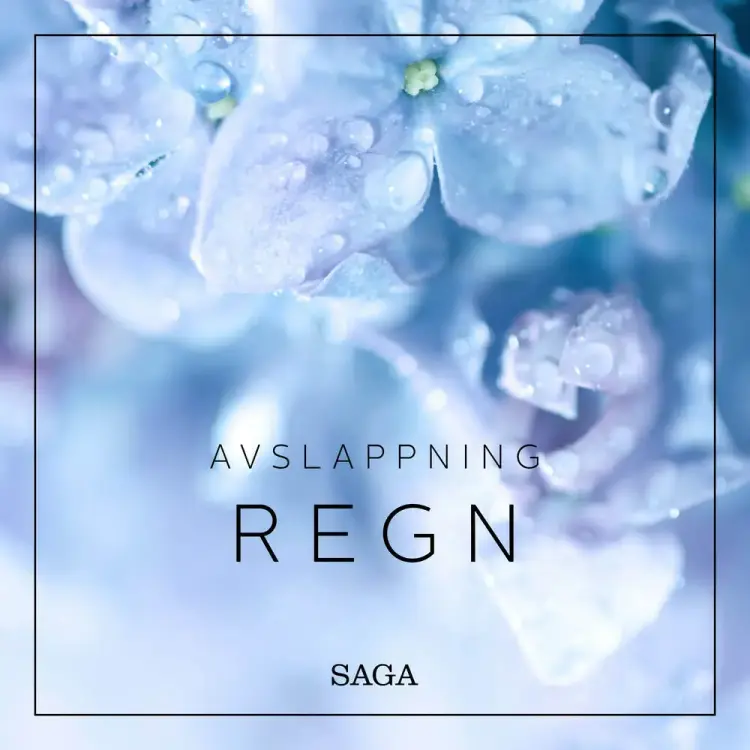 Avslappning - Regn af Rasmus Broe