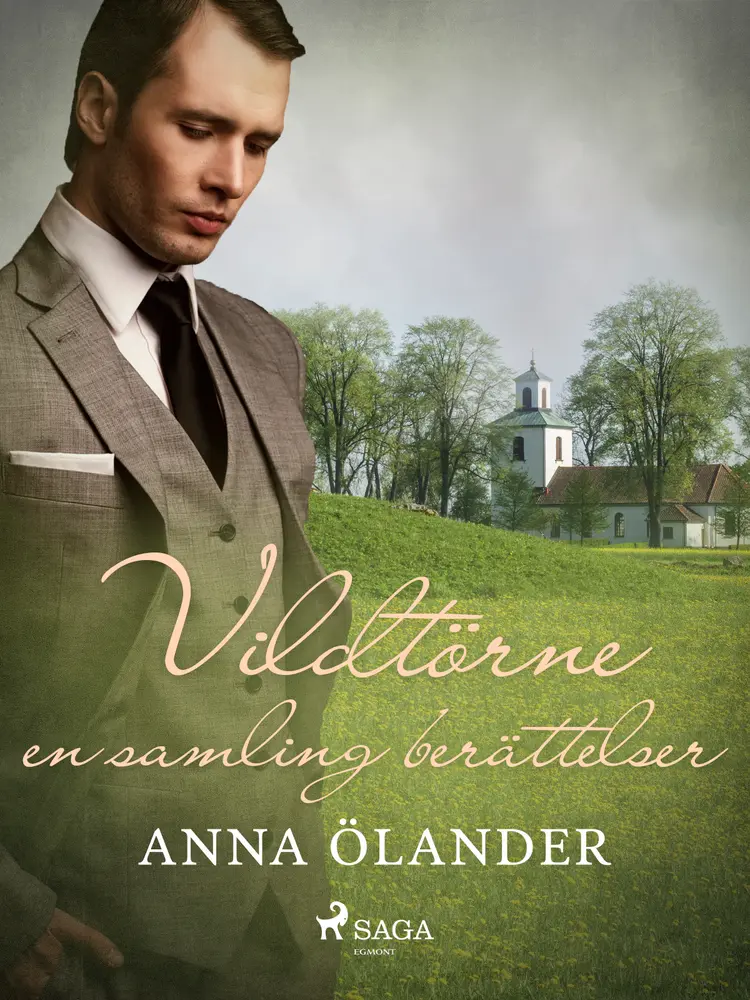 Vildtörne: en samling berättelser af Anna Ölander